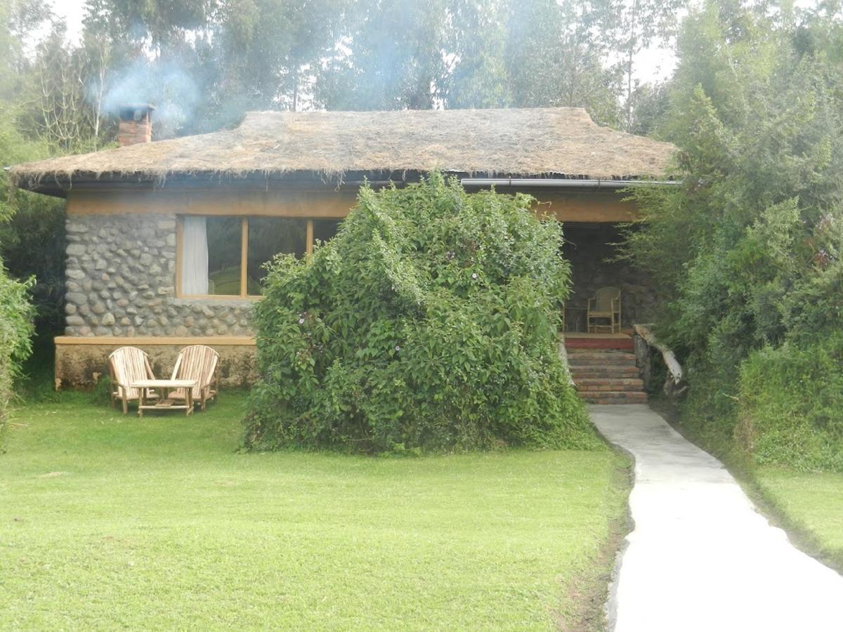 Mountain Gorilla View Lodge Musanze Exterior foto